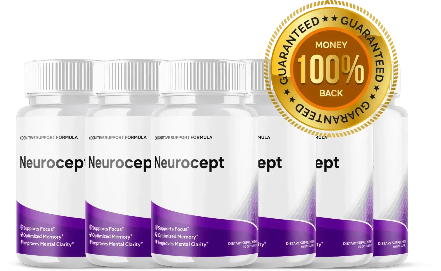 neurocept support healthy brain